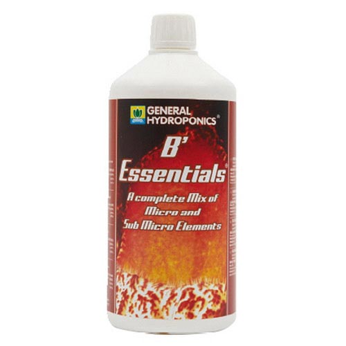 B'essentials  1L