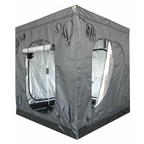 Mammoth Elite HC 240